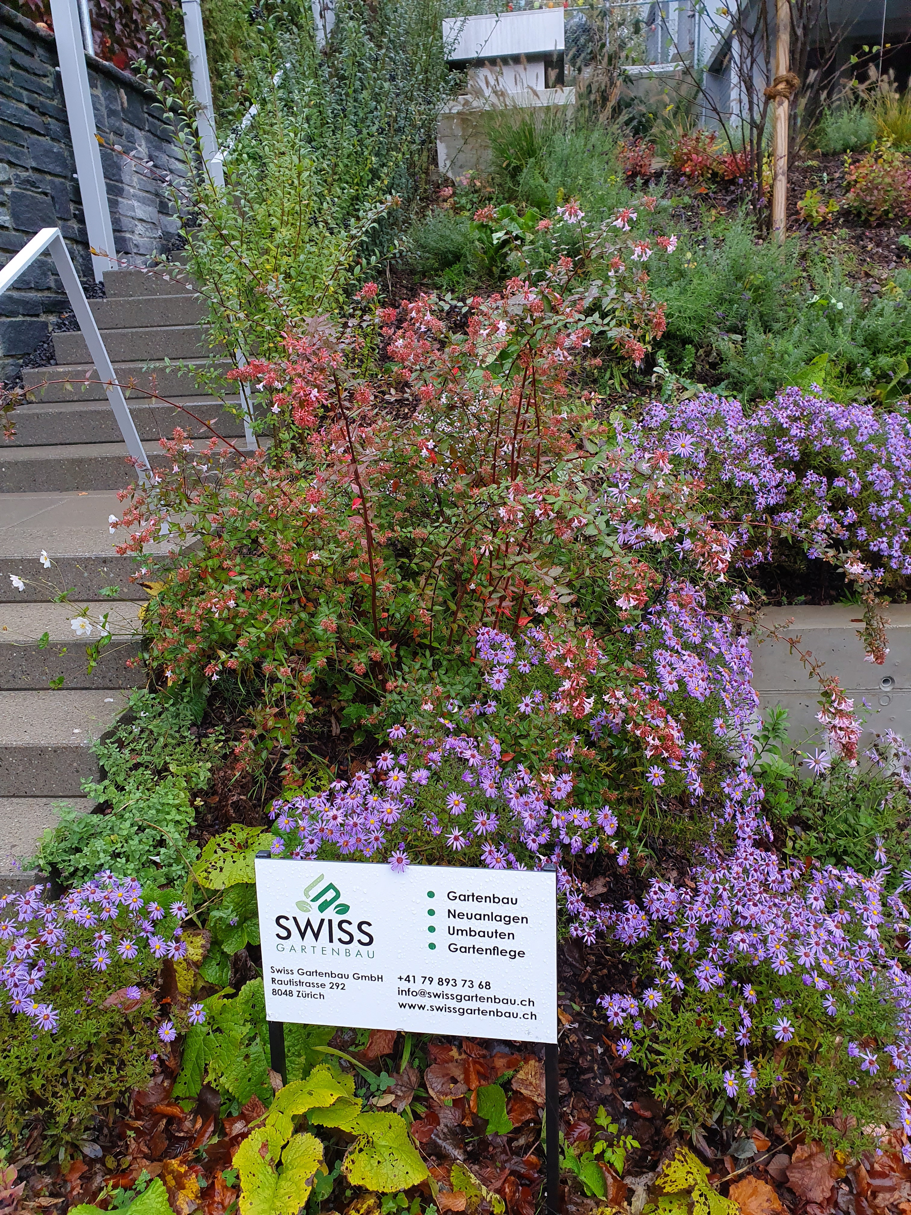 Swissgartenbau Ihr Partner Fur Ihren Garten